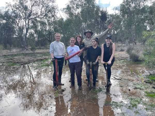 DUAL Australia staff planting trees